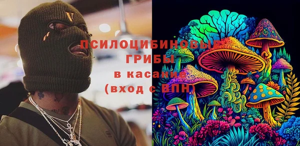 соль ск Алзамай