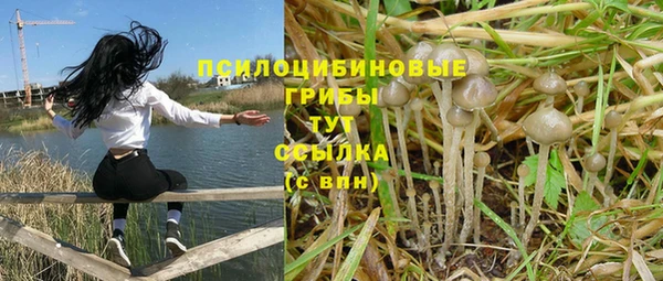 Альфа ПВП Алексеевка