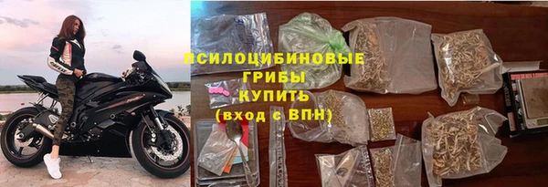 соль ск Алзамай